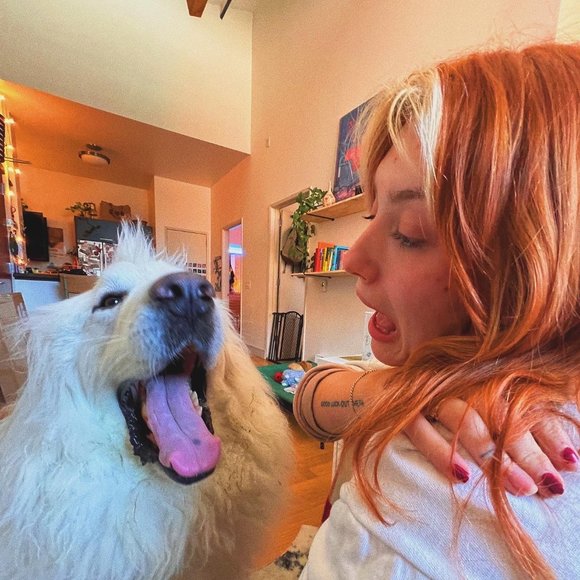 Meet the Posher - Picture 6 of 8